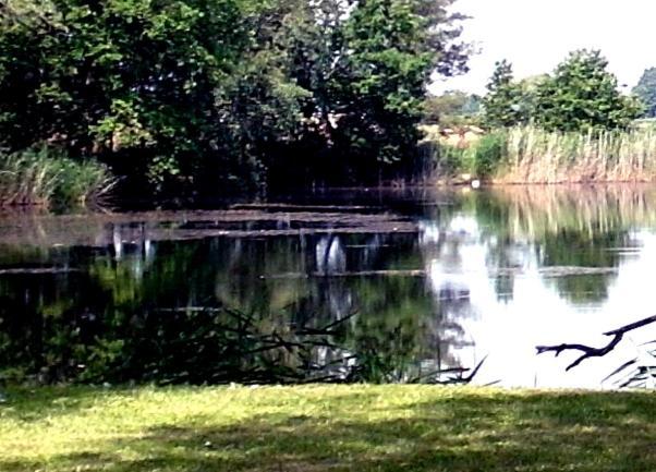 Ferienwohnungen Im Kunst.Haus Am See Doberlug-Kirchhain Esterno foto